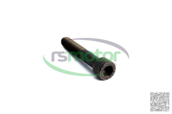 Screw MWM RS-12277744