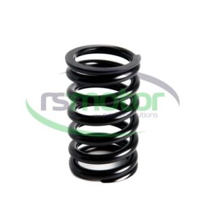 Valve Spring MWM RS-12280124