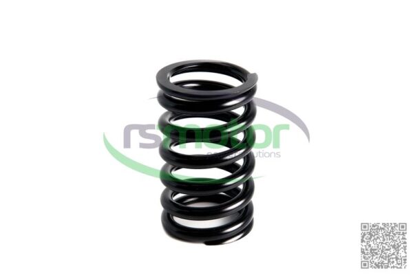 Valve Spring MWM RS-12280124