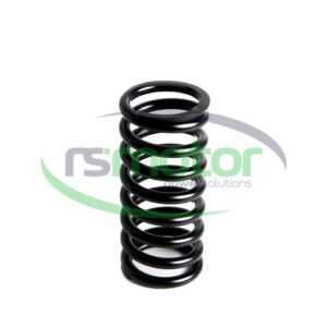 Valve Spring MWM RS-12280125