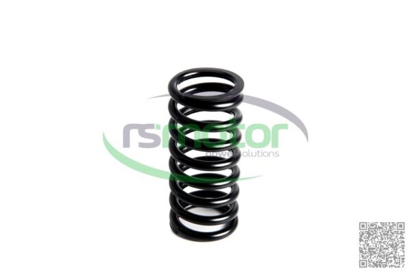 Valve Spring MWM RS-12280125