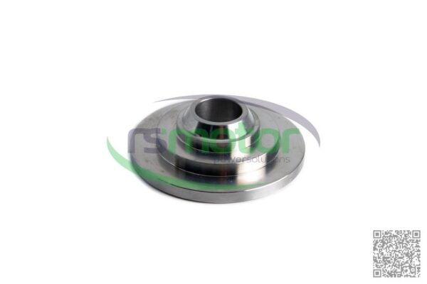 Spring Cap MWM RS-12280189