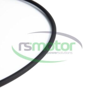 Round Sealing Ring MWM RS-12280199