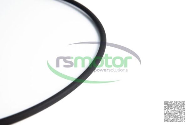 Round Sealing Ring MWM RS-12280199