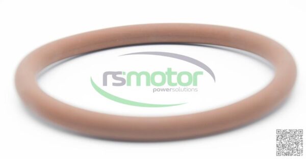 Round Sealing Ring MWM RS-12280214