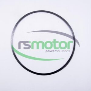 Sealing ring MWM RS-12280220