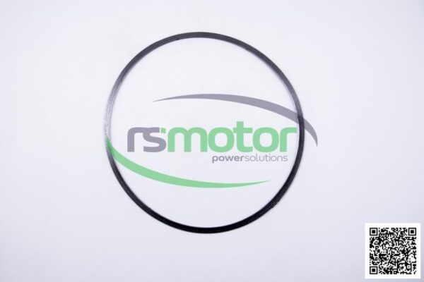 Sealing ring MWM RS-12280220