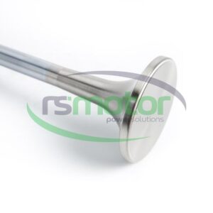 Exhaust Valve MWM RS-12281423