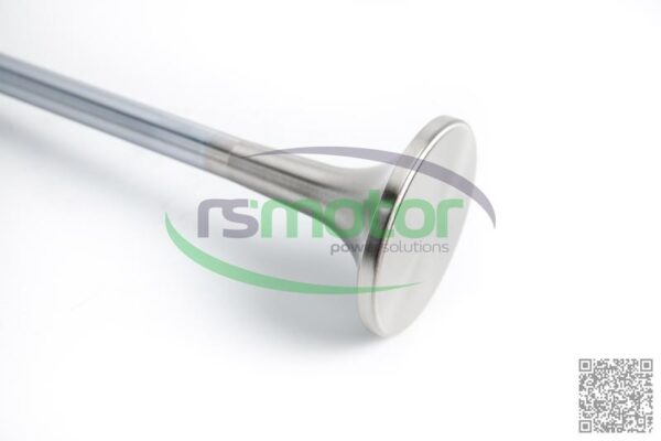 Válvula de escape MWM RS-12281423