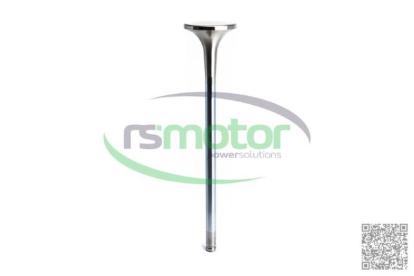 Válvula de escape MWM RS-12281423 - Imagen 7