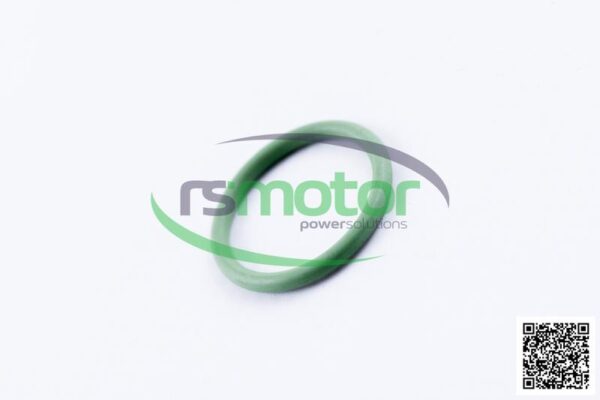 Junta tórica MWM RS-12282345