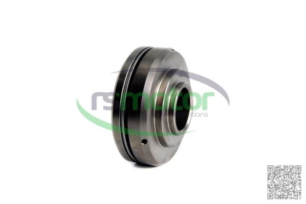 Rotocap MWM RS-12282840