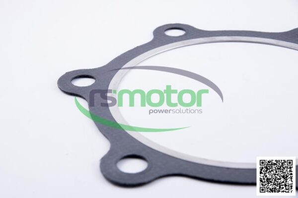 Gasket MWM RS-12282961