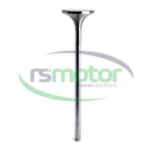 Válvula de Admision MWM RS-12283254