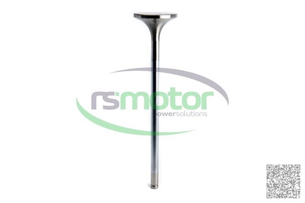 Inlet Valve MWM RS-12283254