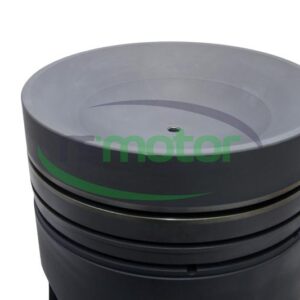Piston MWM RS-12283948