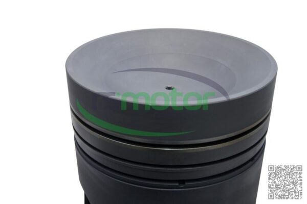 Piston MWM RS-12283948