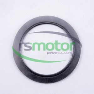Gasket MWM RS-12285504