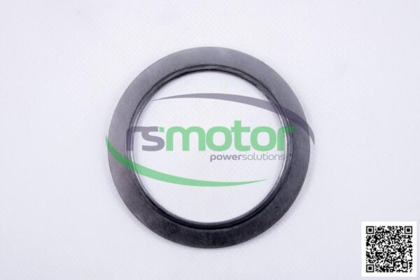 Gasket MWM RS-12285504