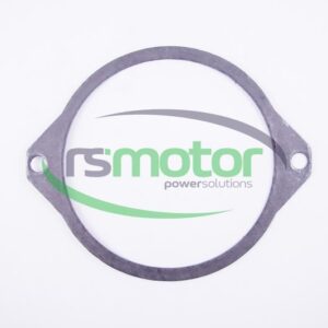 Gasket MWM RS-12300609