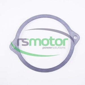 Gasket MWM RS-12300812