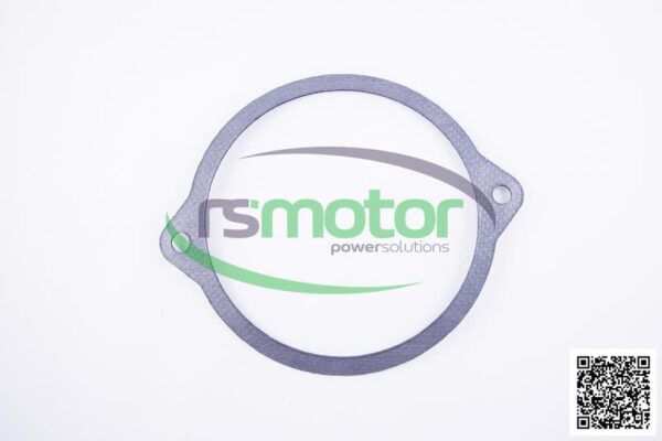 Gasket MWM RS-12300812