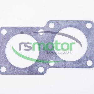 Flat gasket MWM RS-12301342
