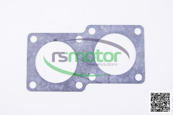 Junta plana MWM RS-12301342