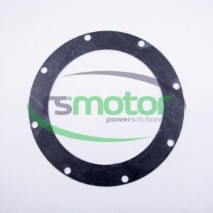 Junta de brida redonda MWM RS-12301728