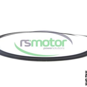 Sealing Ring MWM RS-12305008