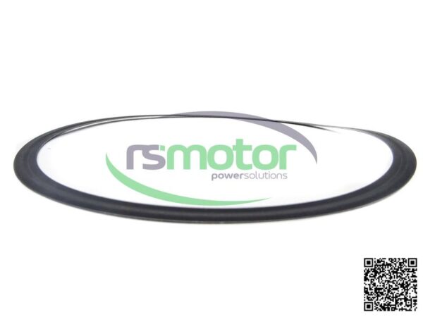 Anillo de Sellado MWM RS-12305008