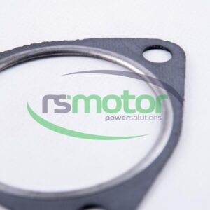 Seal MWM RS-12307263