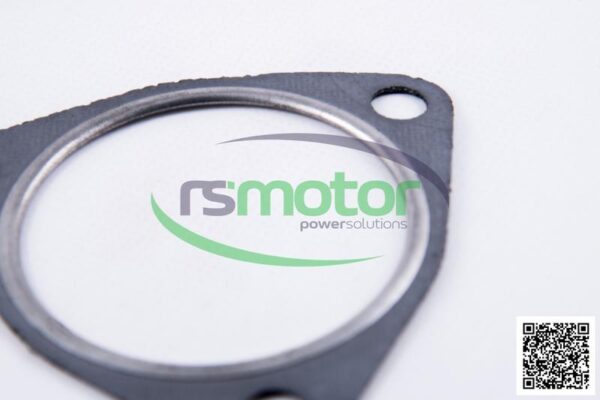 Seal MWM RS-12307263