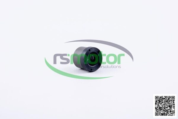 Junta MWM RS-12313401