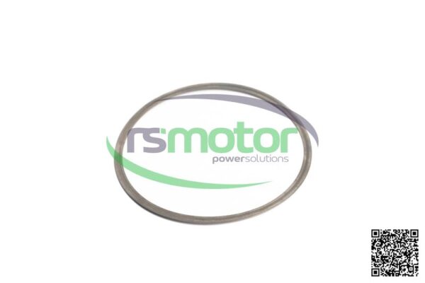 Gasket MWM RS-12314060
