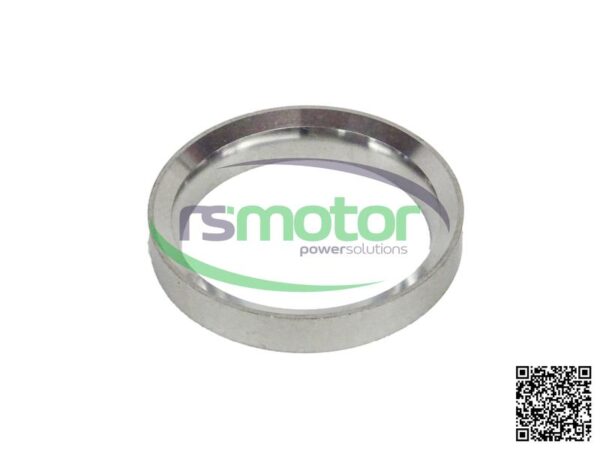 Valve Seat Insert MWM RS-12319866