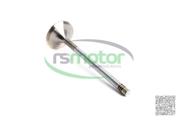 Inlet Valve MWM RS-12319913