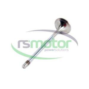 Exhaust Valve MWM RS-12319916