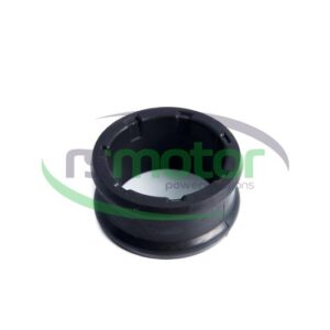 Plug MWM RS-12342152