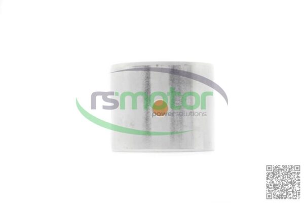 Small End Bearing MWM RS-12343081
