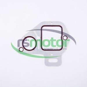 Shaped Packing MWM RS-12343118