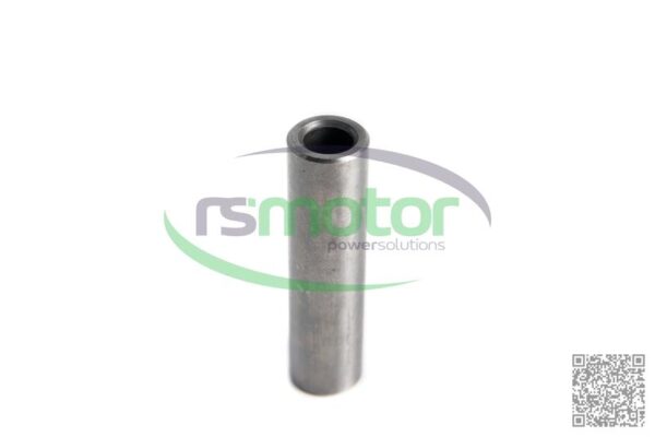 Guía de válvula MWM RS-12343223