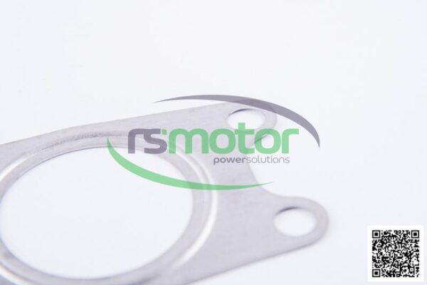Seal MWM RS-12344510