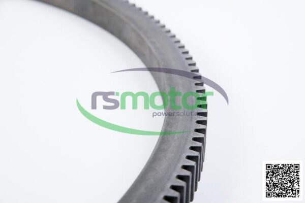 Gear Rim MWM RS-12345138