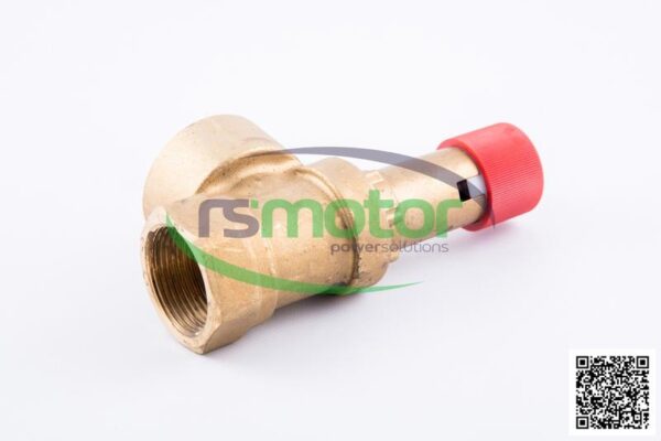Safety Valve MWM RS-12403084