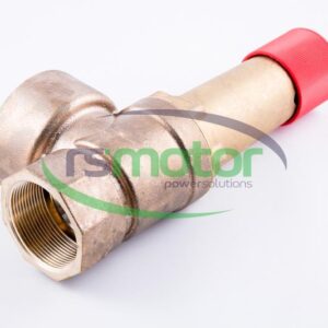 Válvula de seguridad MWM RS-12403085