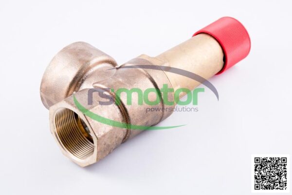 Safety Valve MWM RS-12403085