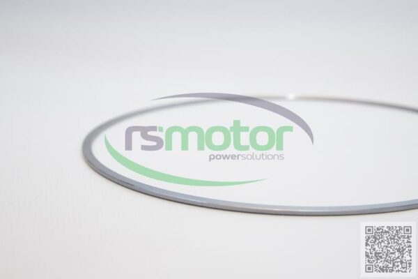 Ring Gasket MWM RS-12420482