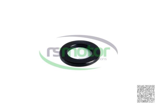 Plain Washer MWM RS-12420649