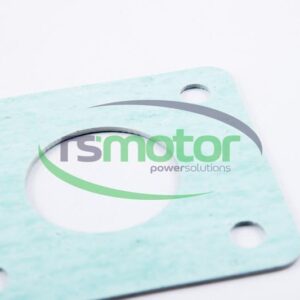 Gasket MWM RS-12450954